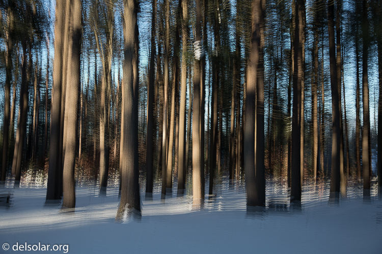 Canon EOS 5D Mark III  --  50 mm  --  EF24-105mm f/4L IS USM  