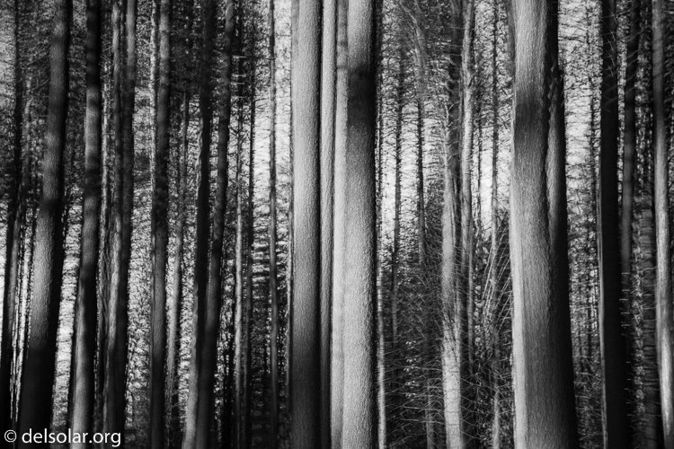 Canon EOS 5D Mark III  --  93 mm  --  EF24-105mm f/4L IS USM  