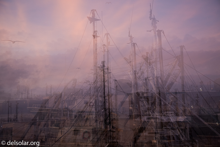 Canon EOS 5D Mark III  --  35 mm  --  EF24-105mm f/4L IS USM  