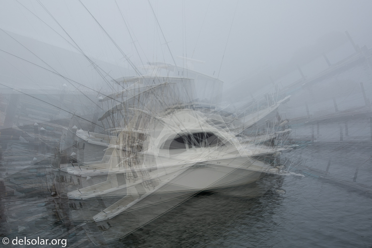 Canon EOS 5D Mark III  --  40 mm  --  EF24-105mm f/4L IS USM  