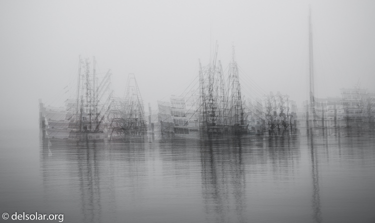 Canon EOS 5D Mark III  --  65 mm  --  EF24-105mm f/4L IS USM  