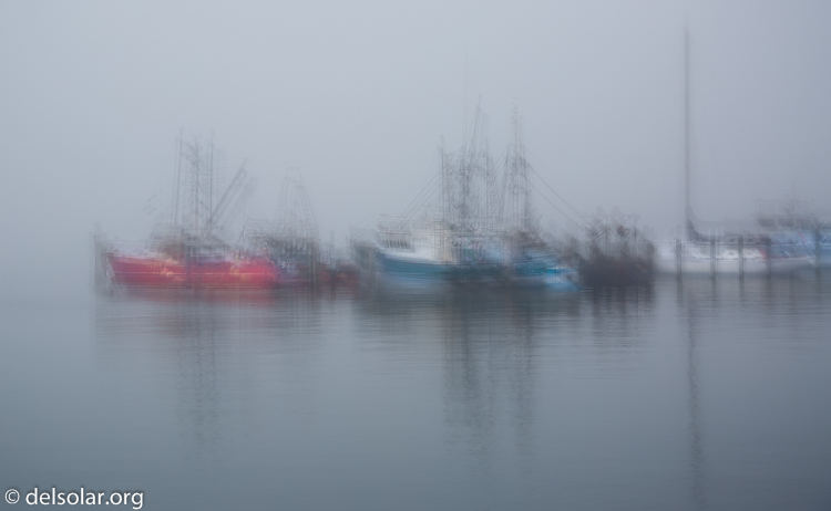 Canon EOS 5D Mark III  --  58 mm  --  EF24-105mm f/4L IS USM  