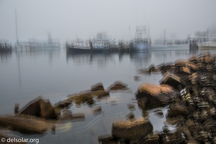 Canon EOS 5D Mark III  --  40 mm  --  EF24-105mm f/4L IS USM  