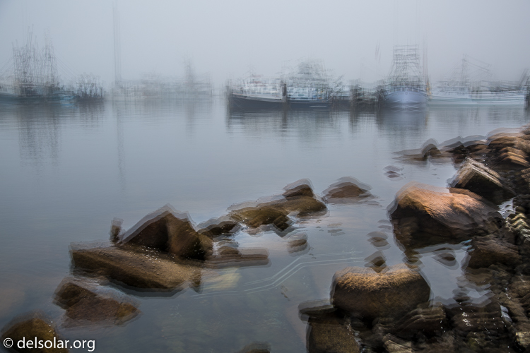 Canon EOS 5D Mark III  --  40 mm  --  EF24-105mm f/4L IS USM  