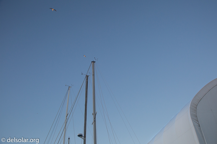 Canon EOS 5D Mark III  --  32 mm  --  EF24-105mm f/4L IS USM  