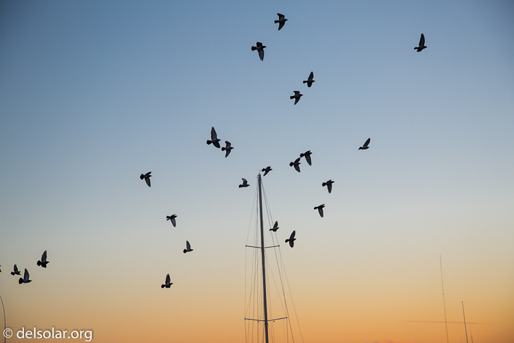 Canon EOS 5D Mark III  --  80 mm  --  EF24-105mm f/4L IS USM  