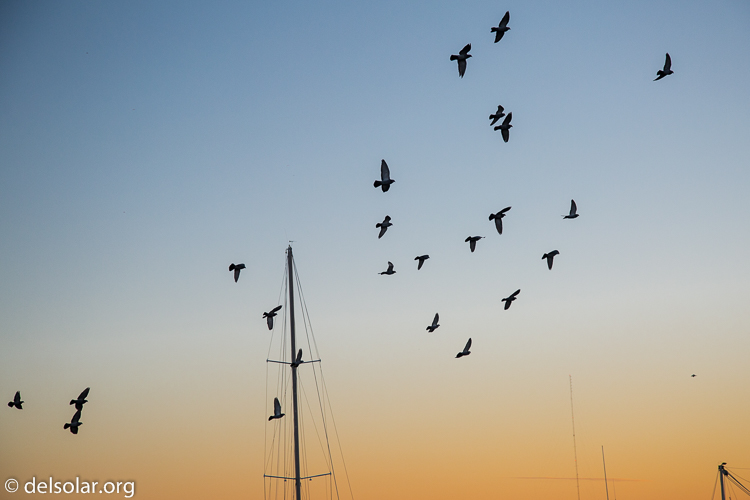 Canon EOS 5D Mark III  --  80 mm  --  EF24-105mm f/4L IS USM  