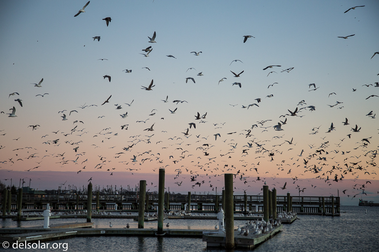 Canon EOS 5D Mark III  --  73 mm  --  EF24-105mm f/4L IS USM  