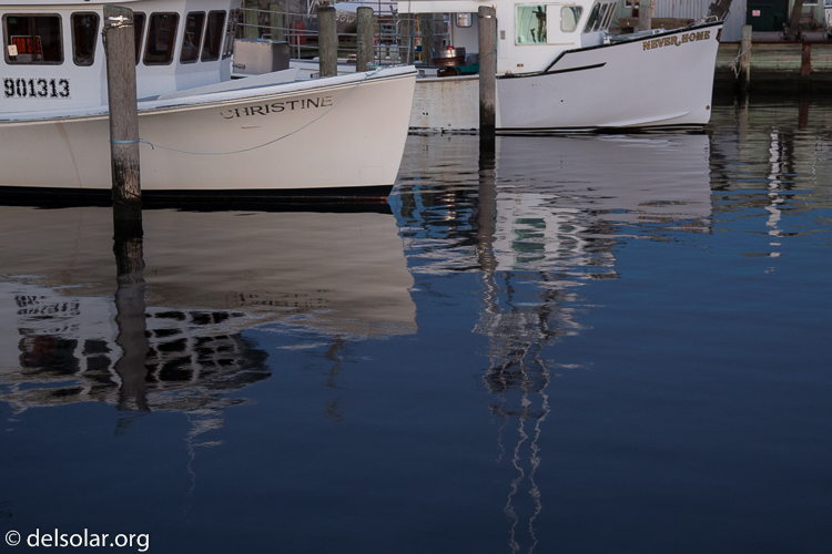 Canon EOS 5D Mark III  --  58 mm  --  EF24-105mm f/4L IS USM  