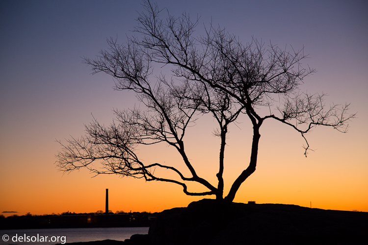 Canon EOS 5D Mark III  --  90 mm  --  EF24-105mm f/4L IS USM  