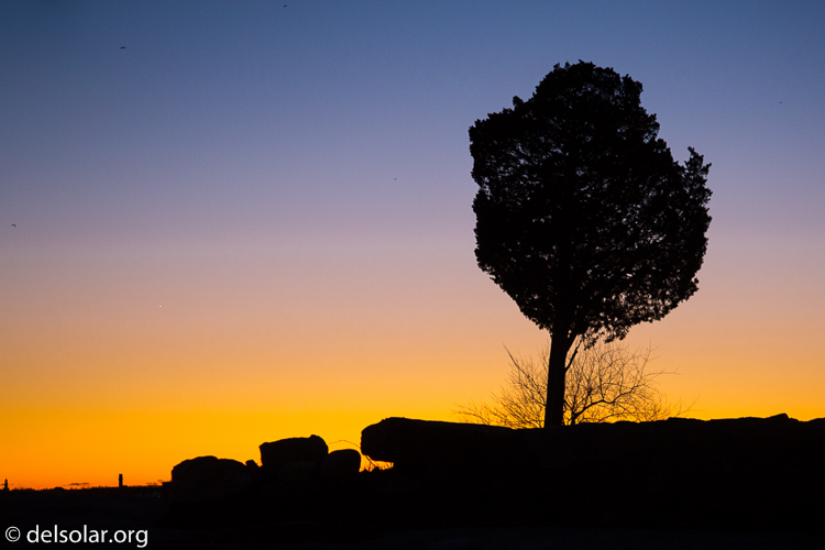 Canon EOS 5D Mark III  --  67 mm  --  EF24-105mm f/4L IS USM  