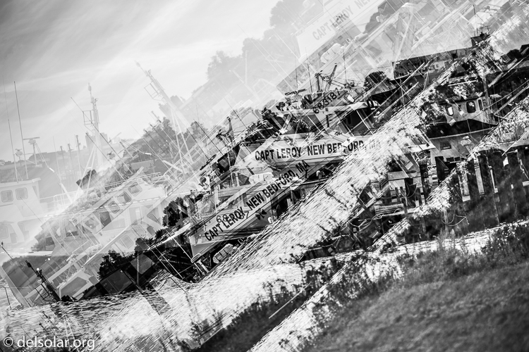 Canon EOS 5D Mark III  --  200 mm  --  EF100-400mm f/4.5-5.6L IS II USM  