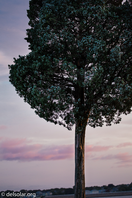 Canon EOS 5D Mark III  --  135 mm  --  EF100-400mm f/4.5-5.6L IS II USM  