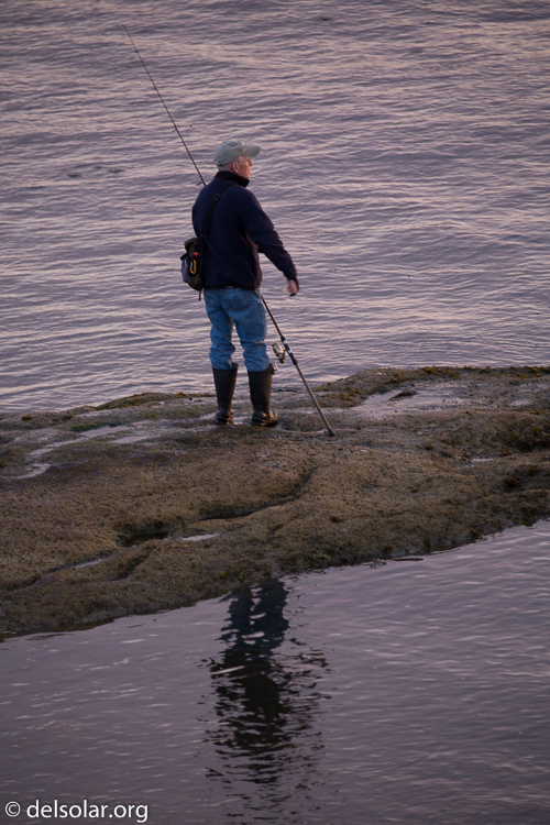 Canon EOS 5D Mark III  --  360 mm  --  EF100-400mm f/4.5-5.6L IS II USM  