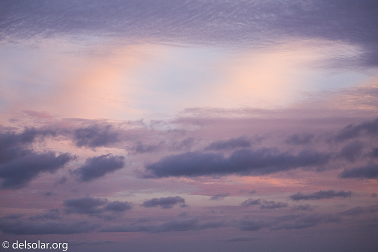 Canon EOS 5D Mark III  --  100 mm  --  EF100-400mm f/4.5-5.6L IS II USM  