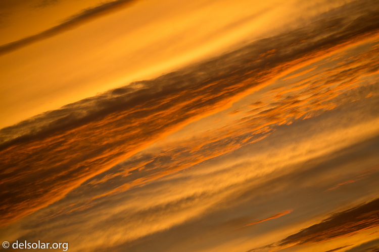 Canon EOS 5D Mark III  --  330 mm  --  EF100-400mm f/4.5-5.6L IS II USM  