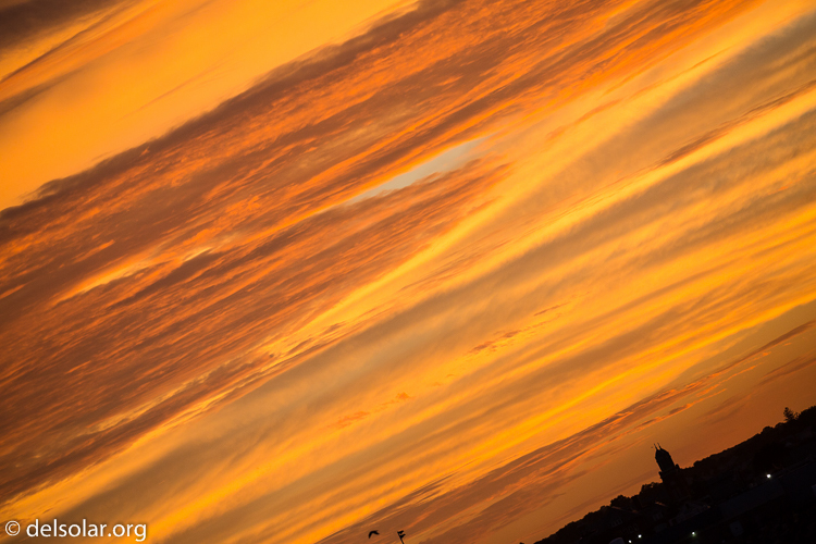 Canon EOS 5D Mark III  --  263 mm  --  EF100-400mm f/4.5-5.6L IS II USM  