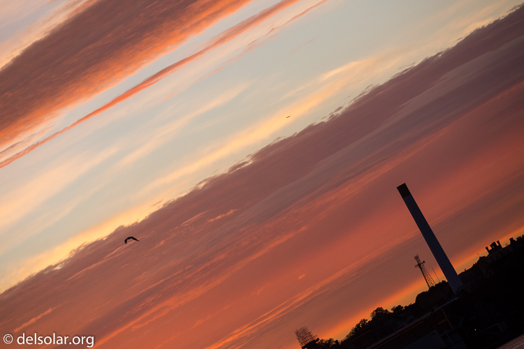 Canon EOS 5D Mark III  --  241 mm  --  EF100-400mm f/4.5-5.6L IS II USM  