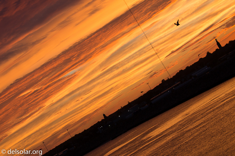 Canon EOS 5D Mark III  --  120 mm  --  EF100-400mm f/4.5-5.6L IS II USM  