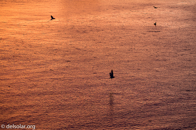 Canon EOS 5D Mark III  --  200 mm  --  EF100-400mm f/4.5-5.6L IS II USM  