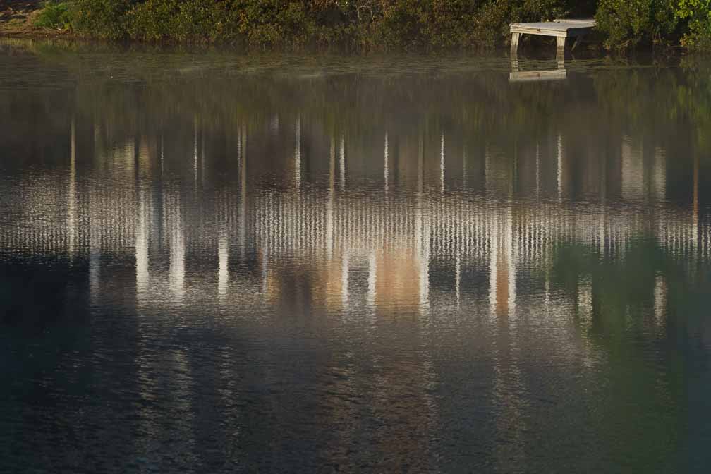 ILCE-7M3  --  DT 100-400mm F4.5-5.6 SAM -- 1/800 sec at f / 8.0 -- ISO 320 -- 0 EV -- 