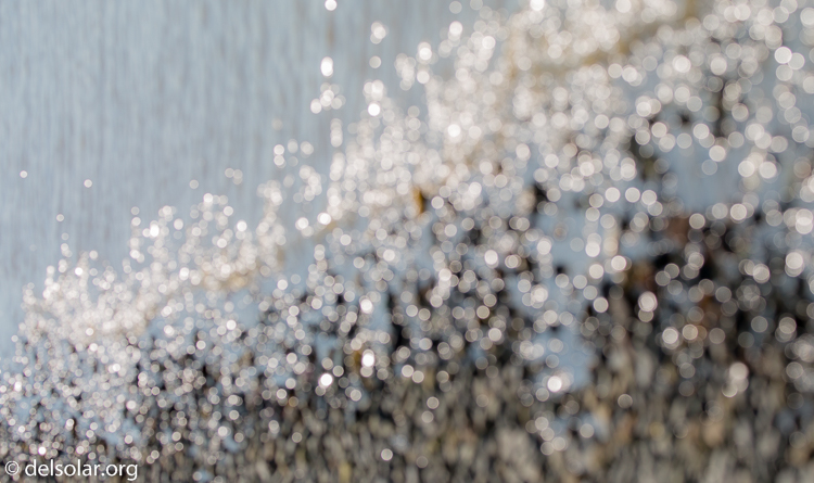 Canon EOS 5D Mark III  --  153 mm  --  EF100-400mm f/4.5-5.6L IS II USM  