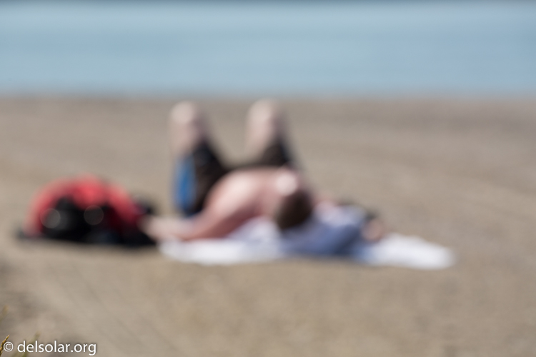 Canon EOS 5D Mark III  --  300 mm  --  EF100-400mm f/4.5-5.6L IS II USM  