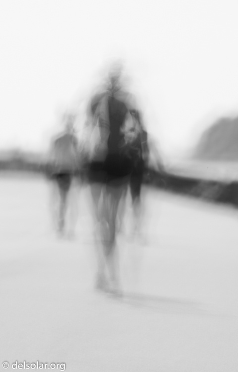 Canon EOS 5D Mark III  --  400 mm  --  EF100-400mm f/4.5-5.6L IS II USM  