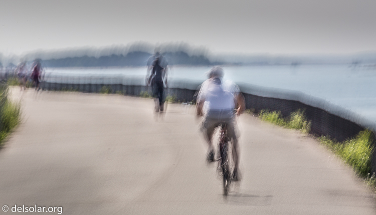 Canon EOS 5D Mark III  --  349 mm  --  EF100-400mm f/4.5-5.6L IS II USM  