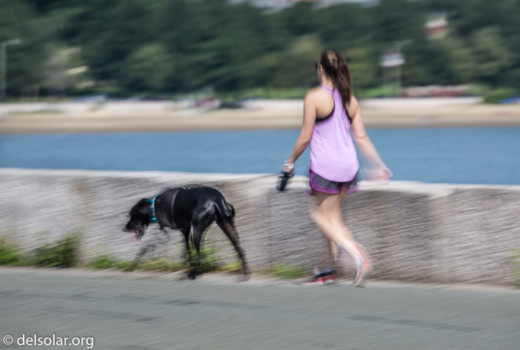 Canon EOS 5D Mark III  --  400 mm  --  EF100-400mm f/4.5-5.6L IS II USM  