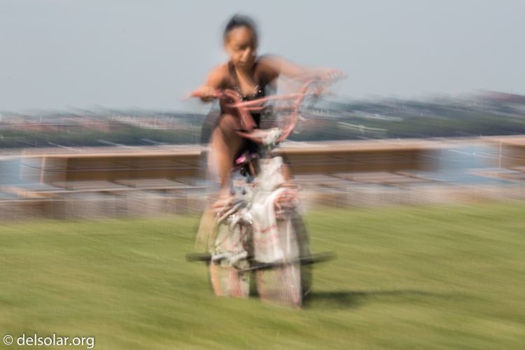 Canon EOS 5D Mark III  --  255 mm  --  EF100-400mm f/4.5-5.6L IS II USM  