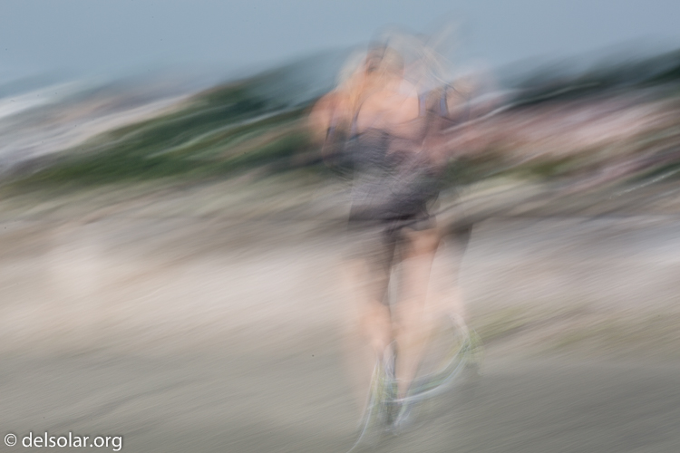 Canon EOS 5D Mark III  --  300 mm  --  EF100-400mm f/4.5-5.6L IS II USM  