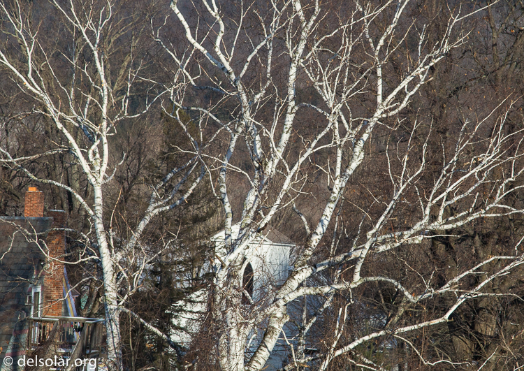 Canon EOS 5D Mark III  --  97 mm  --  EF24-105mm f/4L IS USM  