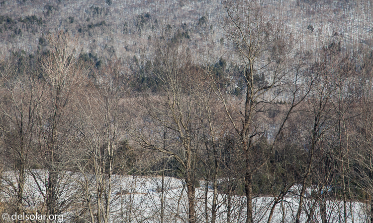 Canon EOS 5D Mark III  --  105 mm  --  EF24-105mm f/4L IS USM  