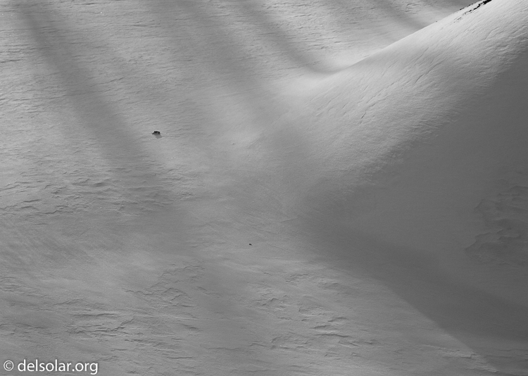 Canon EOS 5D Mark III  --  105 mm  --  EF24-105mm f/4L IS USM  