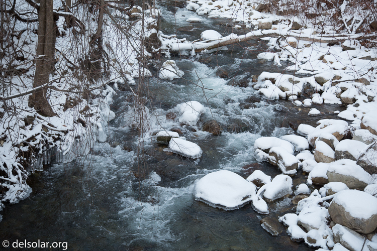 Canon EOS 5D Mark III  --  55 mm  --  EF24-105mm f/4L IS USM  