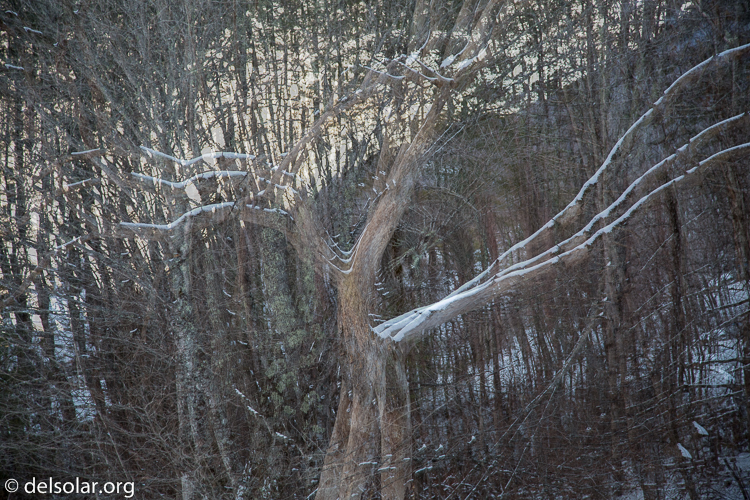 Canon EOS 5D Mark III  --  90 mm  --  EF24-105mm f/4L IS USM  