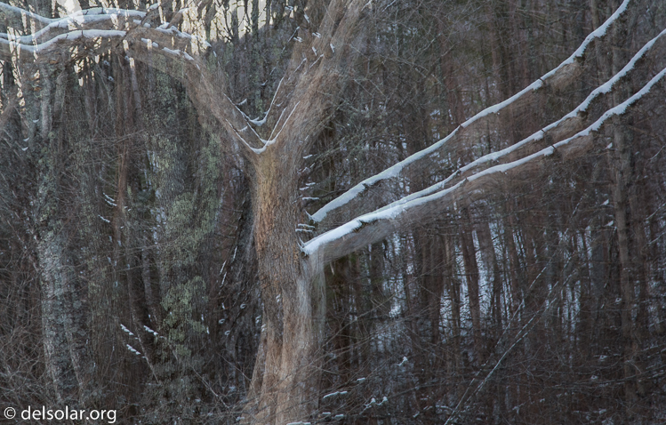 Canon EOS 5D Mark III  --  90 mm  --  EF24-105mm f/4L IS USM  