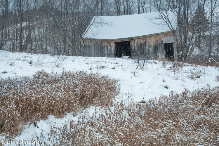 Canon EOS 5D Mark III  --  47 mm  --  EF24-105mm f/4L IS USM  