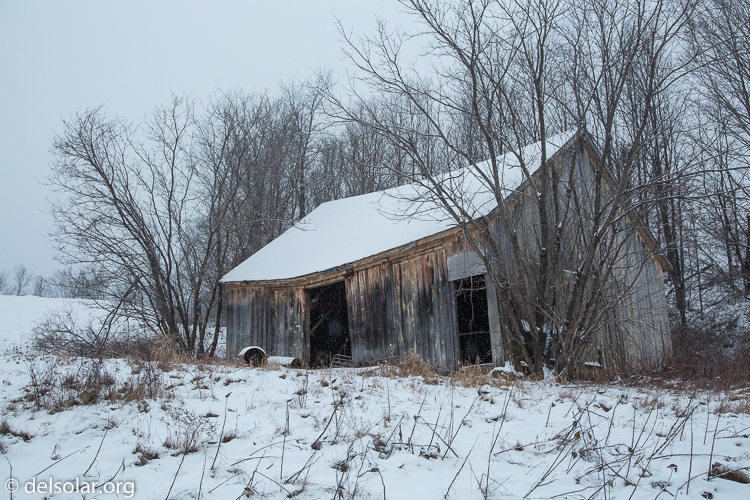 Canon EOS 5D Mark III  --  40 mm  --  EF24-105mm f/4L IS USM  