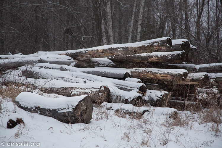 Canon EOS 5D Mark III  --  100 mm  --  EF24-105mm f/4L IS USM  