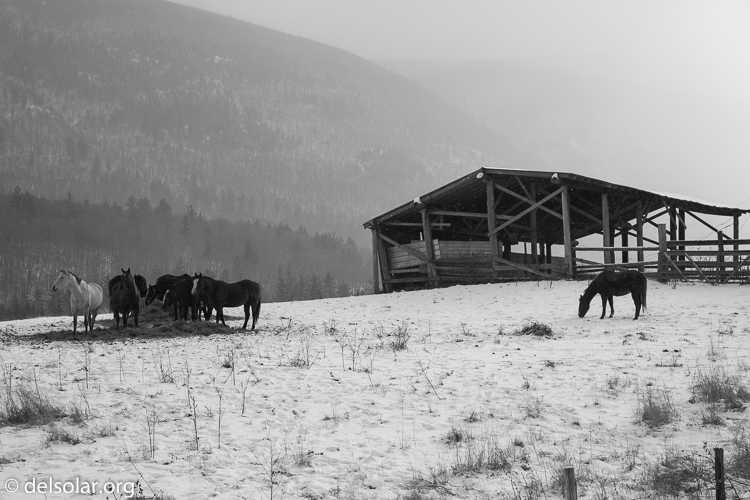 Canon EOS 5D Mark III  --  85 mm  --  EF24-105mm f/4L IS USM  