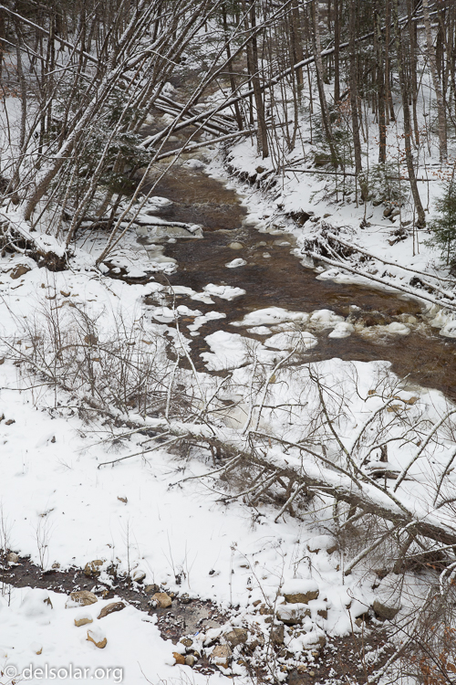 Canon EOS 5D Mark III  --  65 mm  --  EF24-105mm f/4L IS USM  