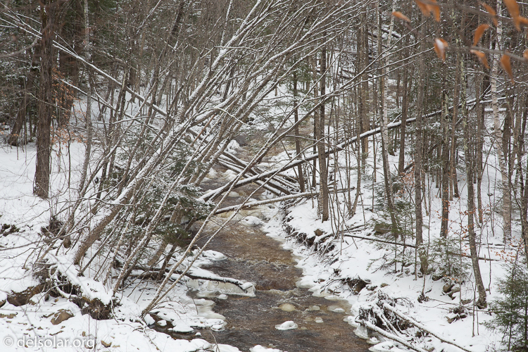 Canon EOS 5D Mark III  --  88 mm  --  EF24-105mm f/4L IS USM  