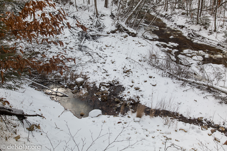 Canon EOS 5D Mark III  --  40 mm  --  EF24-105mm f/4L IS USM  