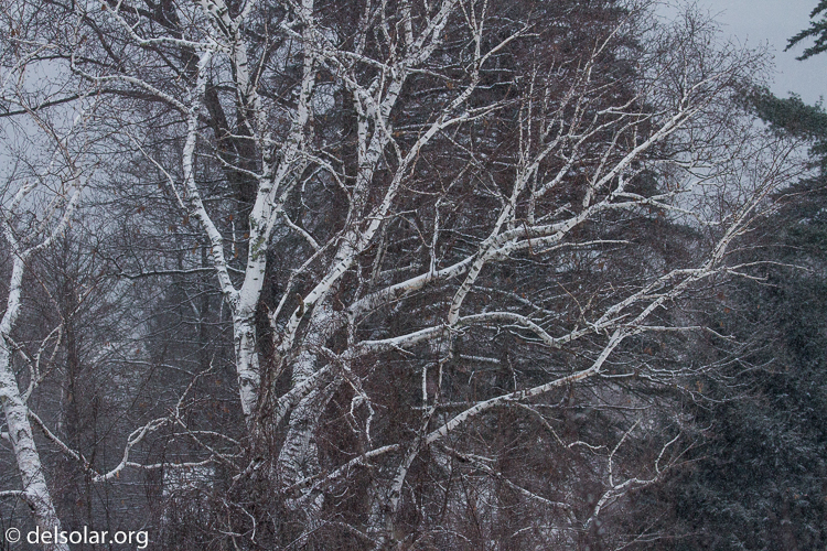 Canon EOS 7D  --  135 mm  --  EF100-400mm f/4.5-5.6L IS II USM  