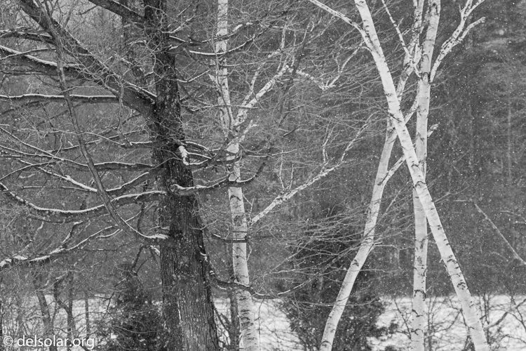 Canon EOS 7D  --  170 mm  --  EF100-400mm f/4.5-5.6L IS II USM  