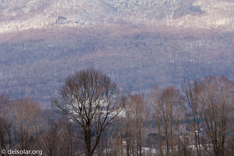 Canon EOS 7D  --  164 mm  --  EF100-400mm f/4.5-5.6L IS II USM  