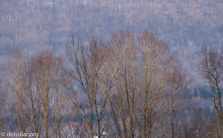 Canon EOS 7D  --  321 mm  --  EF100-400mm f/4.5-5.6L IS II USM  