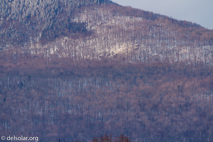 Canon EOS 7D  --  300 mm  --  EF100-400mm f/4.5-5.6L IS II USM  